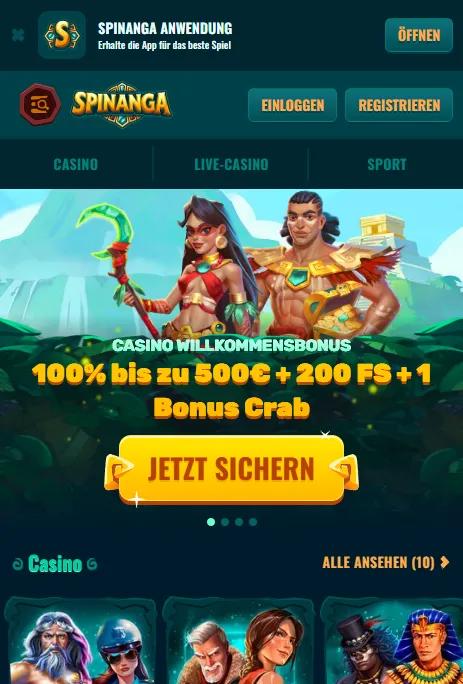 Spinanga mobile Website Nutzung