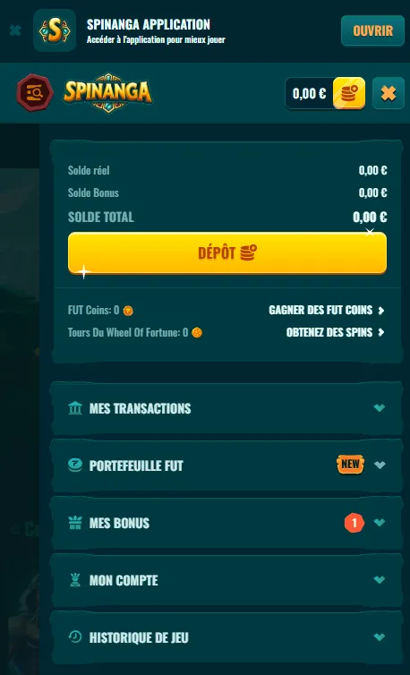 Rubriques et fonctions disponibles sur Spinanga mobile