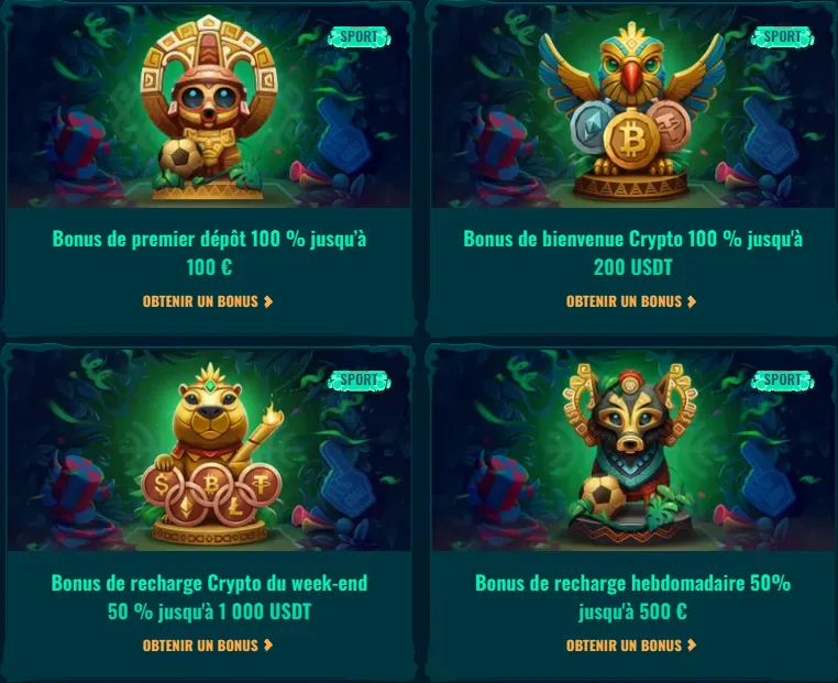 Fonctionnalités de paris sportifs Spinanga