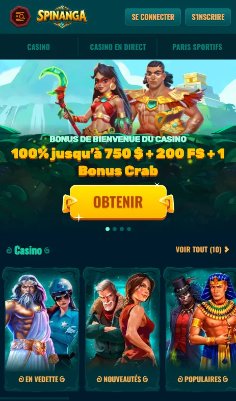 Accès à Spinanga depuis un navigateur mobile