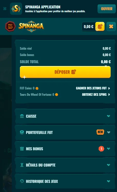Informations sur l’accès mobile de Spinanga
