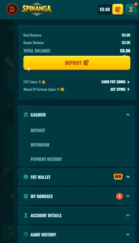 Spinanga mobile website features and account access