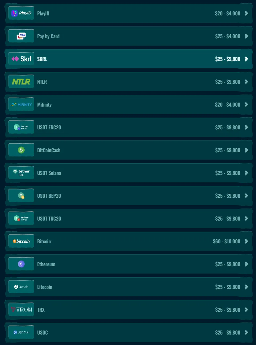 Spinanga payment methods overview