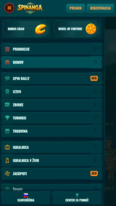 Prikaz mobilnega vmesnika spletnega mesta Spinanga